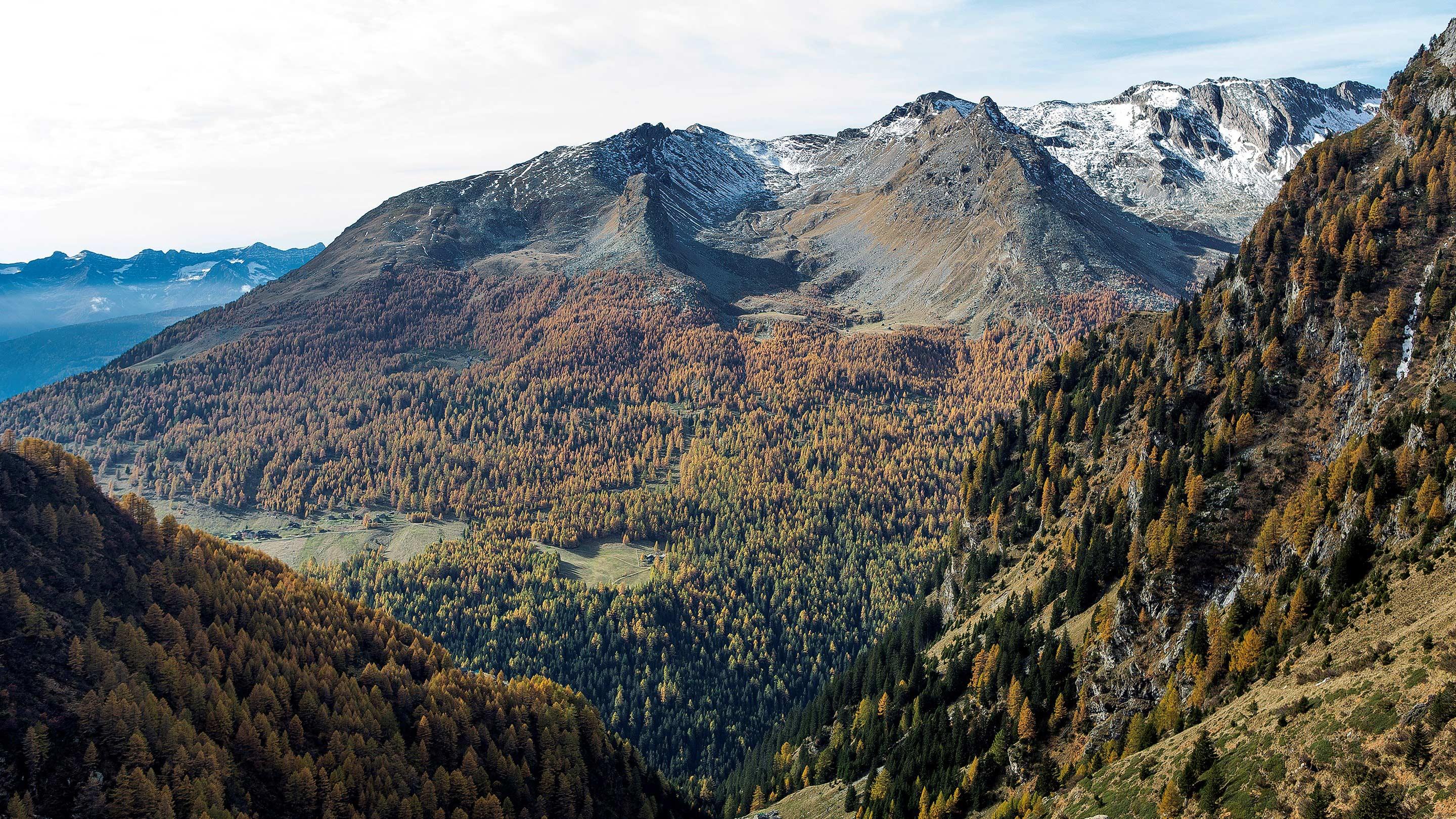Photo Pino Brioschi